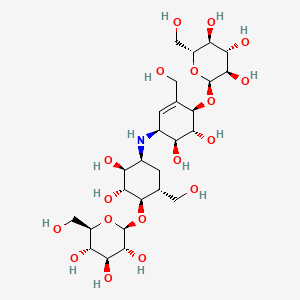 molecular formula C26H45NO18 B13444366 (2R,3R,4S,5S,6R)-2-[(1R,2R,3S,4S,6R)-4-[[(1S,4R,5R,6S)-5,6-dihydroxy-3-(hydroxymethyl)-4-[(2S,3R,4S,5S,6R)-3,4,5-trihydroxy-6-(hydroxymethyl)oxan-2-yl]oxycyclohex-2-en-1-yl]amino]-2,3-dihydroxy-6-(hydroxymethyl)cyclohexyl]oxy-6-(hydroxymethyl)oxane-3,4,5-triol CAS No. 1221158-40-2