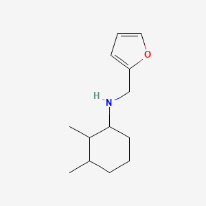 molecular formula C13H21NO B1344536 N-(2,3-二甲基环己基)-N-(2-呋喃甲基)胺 CAS No. 1132675-33-2