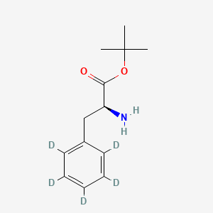 molecular formula C13H19NO2 B13446256 L-Phenylalanine tert-Butyl Ester-d5 