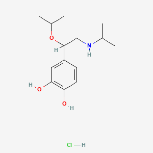 molecular formula C14H24ClNO3 B13447134 Isoproterenol Isopropyl Ether Hydrochloride 