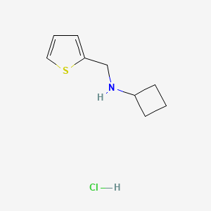 molecular formula C9H14ClNS B13447426 N-[(thiophen-2-yl)methyl]cyclobutanaminehydrochloride CAS No. 2913244-26-3