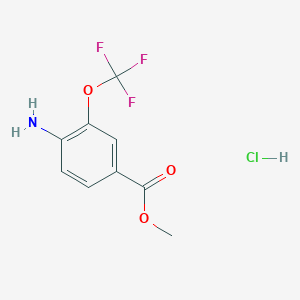 molecular formula C9H9ClF3NO3 B13448861 Methyl 4-amino-3-(trifluoromethoxy)benzoate hydrogen chloride salt 