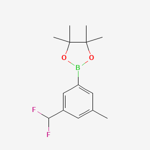 2-(3-(Difluoromethyl)-5-methylphenyl)-4,4,5,5-tetramethyl-1,3,2-dioxaborolane