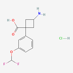 molecular formula C12H14ClF2NO3 B13451970 3-Amino-1-[3-(difluoromethoxy)phenyl]cyclobutane-1-carboxylic acid hydrochloride 