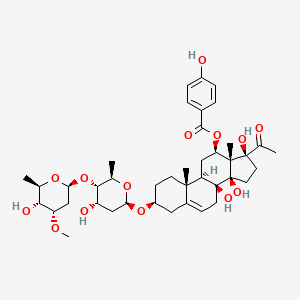 molecular formula C41H58O14 B13451974 [(3S,8S,9R,10R,12R,13S,14R,17S)-17-acetyl-8,14,17-trihydroxy-3-[(2R,4S,5S,6R)-4-hydroxy-5-[(2S,4S,5R,6R)-5-hydroxy-4-methoxy-6-methyloxan-2-yl]oxy-6-methyloxan-2-yl]oxy-10,13-dimethyl-1,2,3,4,7,9,11,12,15,16-decahydrocyclopenta[a]phenanthren-12-yl] 4-hydroxybenzoate 