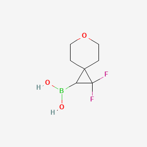 2,2-Difluoro-6-oxa-spiro[2.5]octane-1-boronic acid