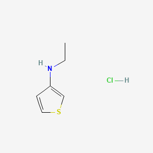 molecular formula C6H10ClNS B13452116 N-ethylthiophen-3-amine hydrochloride 