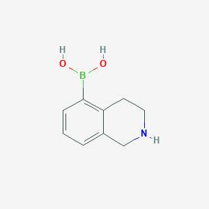 molecular formula C9H12BNO2 B13452553 (1,2,3,4-TEtrahydroisoquinolin-5-yl)boronic acid 