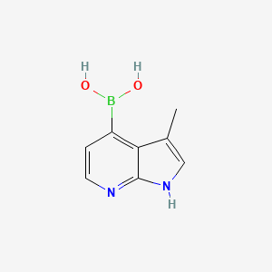 molecular formula C8H9BN2O2 B13452640 (3-Methyl-1H-pyrrolo[2,3-b]pyridin-4-yl)boronic acid 