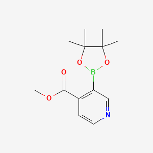 molecular formula C13H18BNO4 B13452785 Methyl 3-(4,4,5,5-tetramethyl-1,3,2-dioxaborolan-2-YL)isonicotinate 