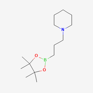 1-[3-(Tetramethyl-1,3,2-dioxaborolan-2-yl)propyl]piperidine