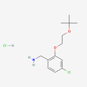 molecular formula C13H21Cl2NO2 B13453656 1-{2-[2-(Tert-butoxy)ethoxy]-4-chlorophenyl}methanamine hydrochloride 