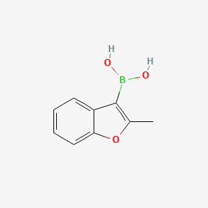 molecular formula C9H9BO3 B13454272 (2-Methyl-1-benzofuran-3-yl)boronic acid 