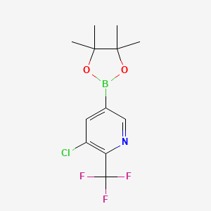 3-Chloro-5-(4,4,5,5-tetramethyl-1,3,2-dioxaborolan-2-yl)-2-(trifluoromethyl)pyridine