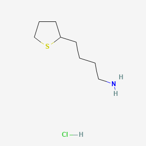 4-(Thiolan-2-yl)butan-1-amine hydrochloride