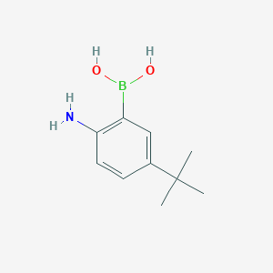 molecular formula C10H16BNO2 B13455030 (2-Amino-5-tert-butylphenyl)boronic acid 