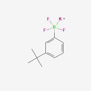 molecular formula C10H13BF3K B13457049 Potassium (3-tert-butylphenyl)trifluoroboranuide 