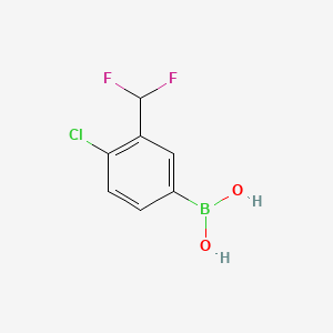 (4-Chloro-3-(difluoromethyl)phenyl)boronic acid