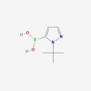 molecular formula C7H13BN2O2 B13458131 1-Tert-butyl-1H-pyrazole-5-boronic acid 