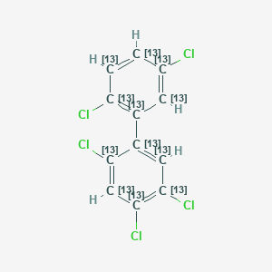 molecular formula C12H5Cl5 B1346056 1,2,4-Trichloro-5-(2,5-dichloro(1,2,3,4,5,6-13C6)cyclohexa-1,3,5-trien-1-yl)(1,2,3,4,5,6-13C6)cyclohexa-1,3,5-triene CAS No. 104130-39-4