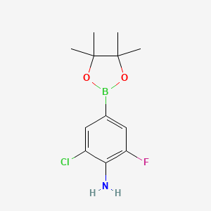 molecular formula C12H16BClFNO2 B13460979 2-Chloro-6-fluoro-4-(4,4,5,5-tetramethyl-1,3,2-dioxaborolan-2-yl)aniline 