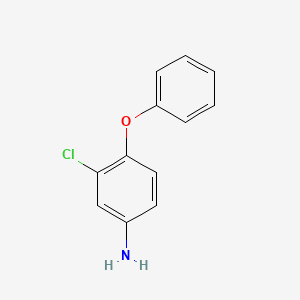 molecular formula C12H10ClNO B1346137 3-氯-4-苯氧基苯胺 CAS No. 5335-29-5