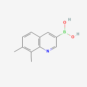 (7,8-Dimethylquinolin-3-yl)boronic acid