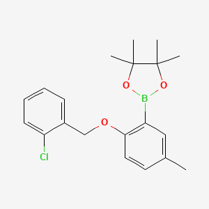 2-[2-[(2-Chlorophenyl)methoxy]-5-methyl-phenyl]-4,4,5,5-tetramethyl-1,3,2-dioxaborolane