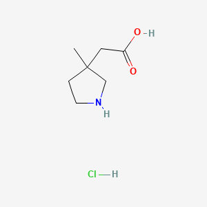 molecular formula C7H14ClNO2 B13462768 2-(3-Methylpyrrolidin-3-yl)acetic acid hydrochloride 