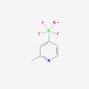 Potassium trifluoro(2-methylpyridin-4-yl)borate