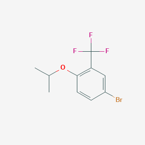 molecular formula C10H10BrF3O B1346423 5-溴-2-异丙氧基苯三氟化物 CAS No. 914635-61-3