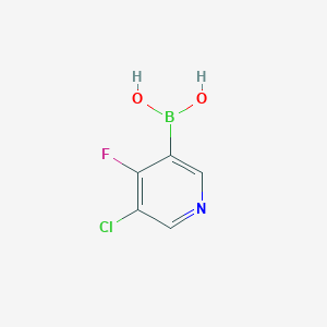 molecular formula C5H4BClFNO2 B13464243 (5-Chloro-4-fluoropyridin-3-YL)boronic acid 