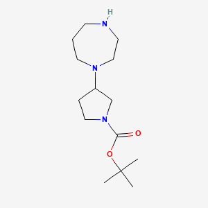 molecular formula C14H27N3O2 B13464291 Tert-butyl 3-(1,4-diazepan-1-yl)pyrrolidine-1-carboxylate 