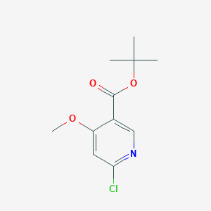 molecular formula C11H14ClNO3 B13464346 Tert-butyl 6-chloro-4-methoxypyridine-3-carboxylate CAS No. 1902116-86-2