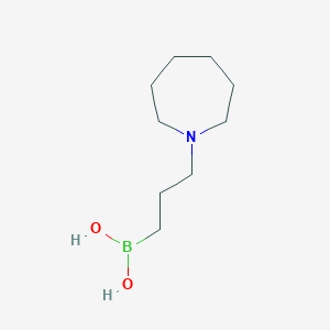 molecular formula C9H20BNO2 B13464457 (3-(Azepan-1-yl)propyl)boronic acid 