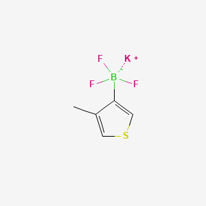 molecular formula C5H5BF3KS B13464627 Potassium trifluoro(4-methylthiophen-3-yl)boranuide 