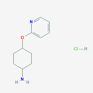 molecular formula C11H17ClN2O B13464702 Rac-(1r,4r)-4-(pyridin-2-yloxy)cyclohexan-1-aminehydrochloride CAS No. 2913229-18-0