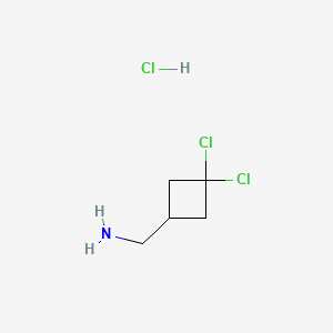 molecular formula C5H10Cl3N B13465046 1-(3,3-Dichlorocyclobutyl)methanamine hydrochloride 