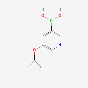 molecular formula C9H12BNO3 B13466239 (5-Cyclobutoxypyridin-3-yl)boronic acid 