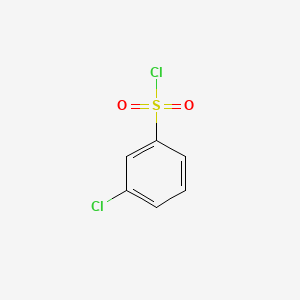 molecular formula C6H4Cl2O2S B1346645 3-氯苯磺酰氯 CAS No. 2888-06-4