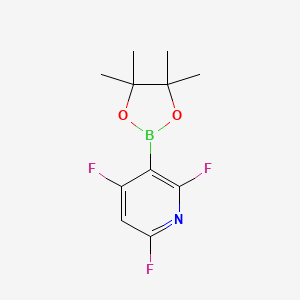 molecular formula C11H13BF3NO2 B13466477 2,4,6-Trifluoro-3-(4,4,5,5-tetramethyl-1,3,2-dioxaborolan-2-yl)pyridine CAS No. 2085307-57-7