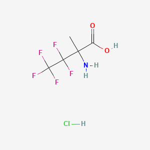 molecular formula C5H7ClF5NO2 B13467333 2-Amino-3,3,4,4,4-pentafluoro-2-methylbutanoic acid hydrochloride 