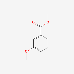 B1346780 Methyl 3-methoxybenzoate CAS No. 5368-81-0
