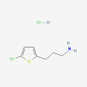 3-(5-Chlorothiophen-2-yl)propan-1-amine hydrochloride