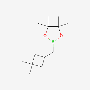 molecular formula C13H25BO2 B13468195 2-((3,3-Dimethylcyclobutyl)methyl)-4,4,5,5-tetramethyl-1,3,2-dioxaborolane 