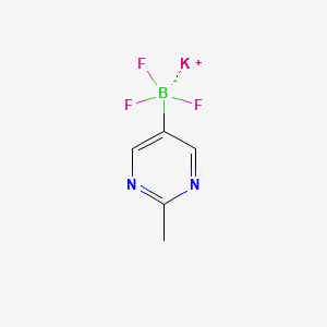 molecular formula C5H5BF3KN2 B13468419 Potassium trifluoro(2-methylpyrimidin-5-yl)borate 