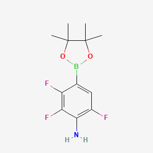 molecular formula C12H15BF3NO2 B13468523 2,3,6-Trifluoro-4-(4,4,5,5-tetramethyl-1,3,2-dioxaborolan-2-YL)aniline 