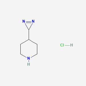 molecular formula C6H12ClN3 B13469552 4-(3H-diazirin-3-yl)piperidine hydrochloride 