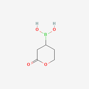 molecular formula C5H9BO4 B13469995 (2-Oxooxan-4-yl)boronic acid 