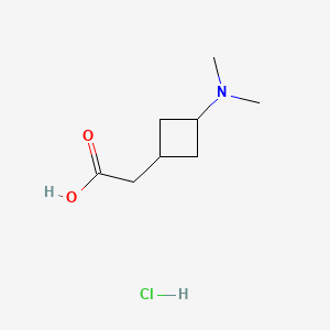 molecular formula C8H16ClNO2 B13470005 2-[3-(Dimethylamino)cyclobutyl]acetic acid hydrochloride 